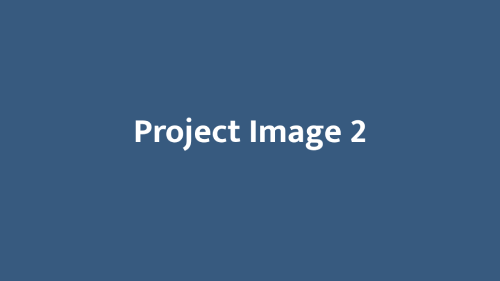 second image of project.